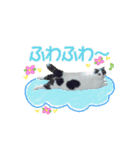 スコてん（個別スタンプ：15）