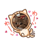 きじねこ ミール（個別スタンプ：3）