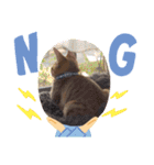 きじねこ ミール（個別スタンプ：6）