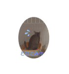 きじねこ ミール（個別スタンプ：12）