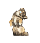 うちの犬（うに）（個別スタンプ：3）