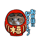 こだこだ（個別スタンプ：2）
