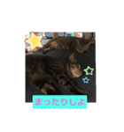 こだこだ（個別スタンプ：5）
