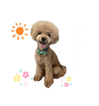 PIASUくん（個別スタンプ：1）