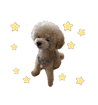 PIASUくん（個別スタンプ：2）