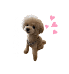 PIASUくん（個別スタンプ：3）