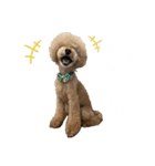 PIASUくん（個別スタンプ：4）
