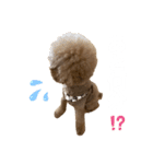 PIASUくん（個別スタンプ：5）