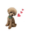 PIASUくん（個別スタンプ：6）