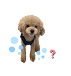 PIASUくん（個別スタンプ：8）