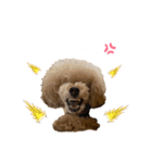 PIASUくん（個別スタンプ：9）