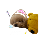 PIASUくん（個別スタンプ：10）