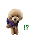PIASUくん（個別スタンプ：13）