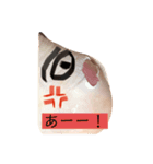けつや弟の日常！（個別スタンプ：5）