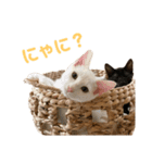 みなみんち。（個別スタンプ：1）