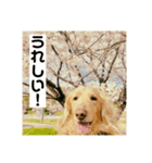 みなみんち。（個別スタンプ：4）