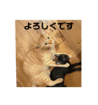 みなみんち。（個別スタンプ：6）