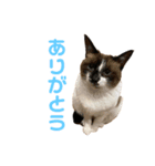 みなみんち。（個別スタンプ：8）