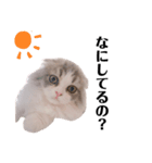 ぼくわたげ。（個別スタンプ：5）