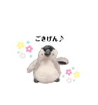 ぼくわたげ。（個別スタンプ：8）