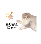 ぼくわたげ。（個別スタンプ：12）