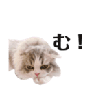 ぼくわたげ。（個別スタンプ：13）