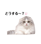 ぼくわたげ。（個別スタンプ：14）