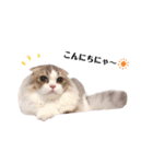 ぼくわたげ。（個別スタンプ：16）