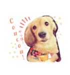 Coucou Woolong！日本語×フランス語（個別スタンプ：1）