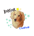 Coucou Woolong！日本語×フランス語（個別スタンプ：3）