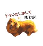 Coucou Woolong！日本語×フランス語（個別スタンプ：7）