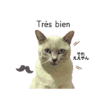 Coucou Woolong！日本語×フランス語（個別スタンプ：14）