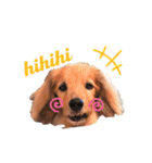 Coucou Woolong！日本語×フランス語（個別スタンプ：18）