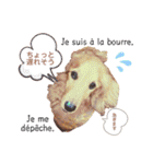 Coucou Woolong！日本語×フランス語（個別スタンプ：21）