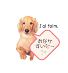 Coucou Woolong！日本語×フランス語（個別スタンプ：24）