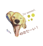 Coucou Woolong！日本語×フランス語（個別スタンプ：25）