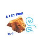 Coucou Woolong！日本語×フランス語（個別スタンプ：27）
