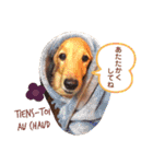 Coucou Woolong！日本語×フランス語（個別スタンプ：28）