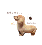Coucou Woolong！日本語×フランス語（個別スタンプ：32）