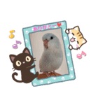 そらまめのあいさつ（個別スタンプ：5）