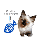 シフォンとその仲間たちの関西弁ワールド（個別スタンプ：7）