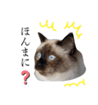 シフォンとその仲間たちの関西弁ワールド（個別スタンプ：9）