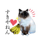シフォンとその仲間たちの関西弁ワールド（個別スタンプ：18）