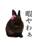 シフォンとその仲間たちの関西弁ワールド（個別スタンプ：29）