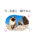 シフォンとその仲間たちの関西弁ワールド（個別スタンプ：30）