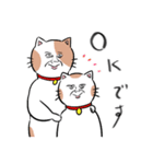 猫ならば、3（個別スタンプ：8）