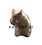 ふてぶてしいまめちゃん（個別スタンプ：12）