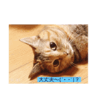 めめちゃんスタンプ3（個別スタンプ：5）