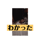 愛犬花10（個別スタンプ：3）
