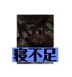 愛犬花10（個別スタンプ：4）